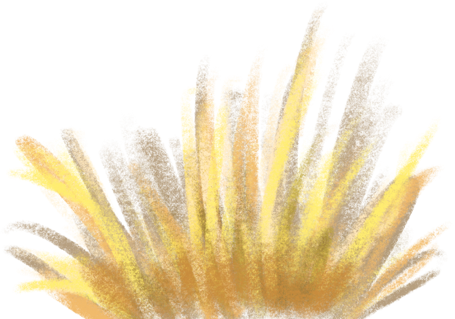 Grass illustration